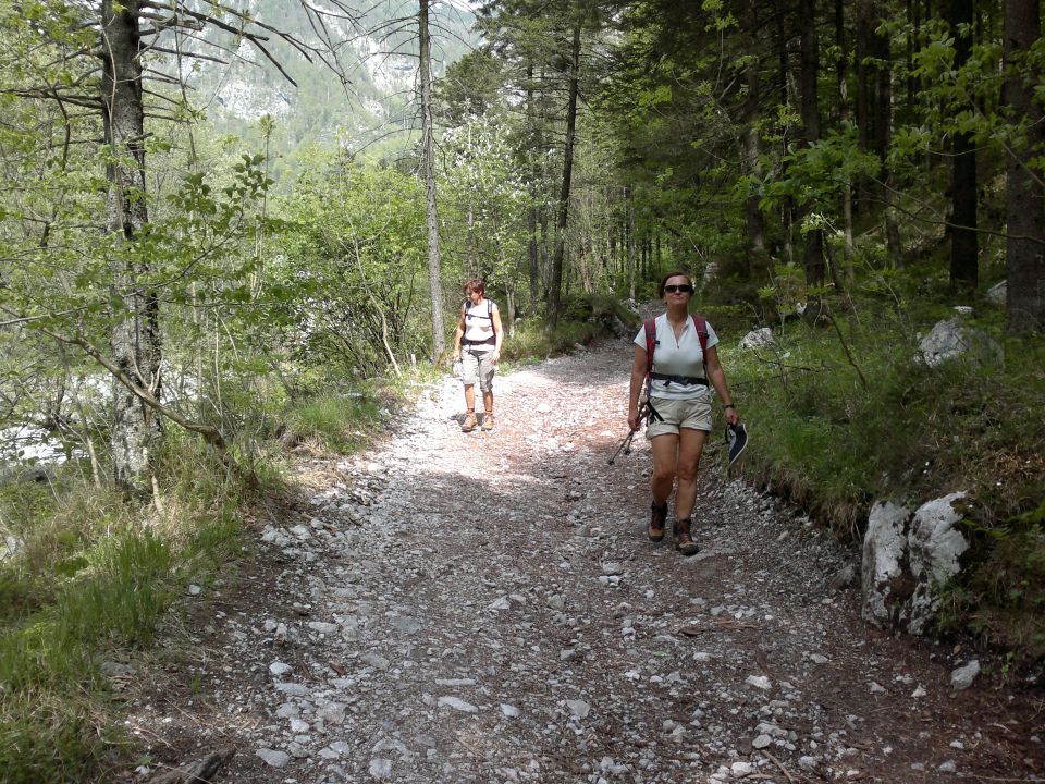 Martinova stena, Konj 11.05.2012 - foto povečava