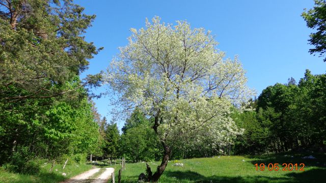 Gradiška tura - Abram 19.05.2012 - foto