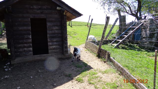 Gradiška tura - Abram 19.05.2012 - foto