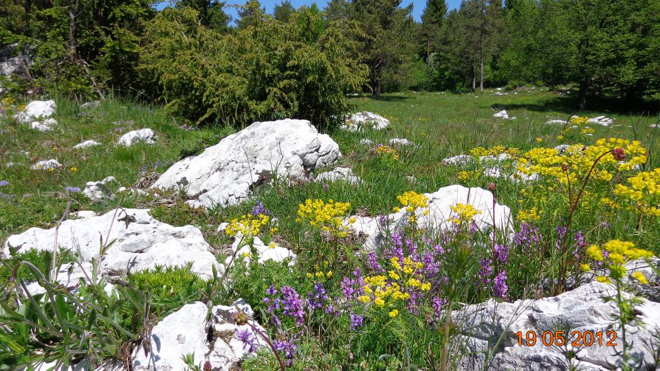 Gradiška tura - Abram 19.05.2012 - foto povečava