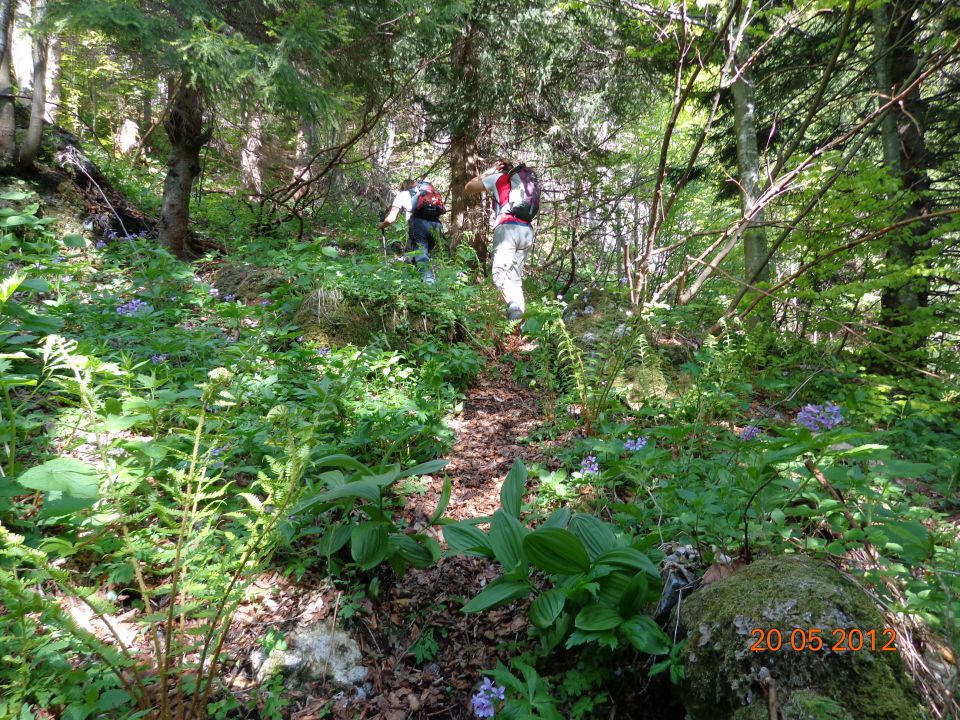 Kosmati vrh in Gladki vrh 20.05.2012 - foto povečava