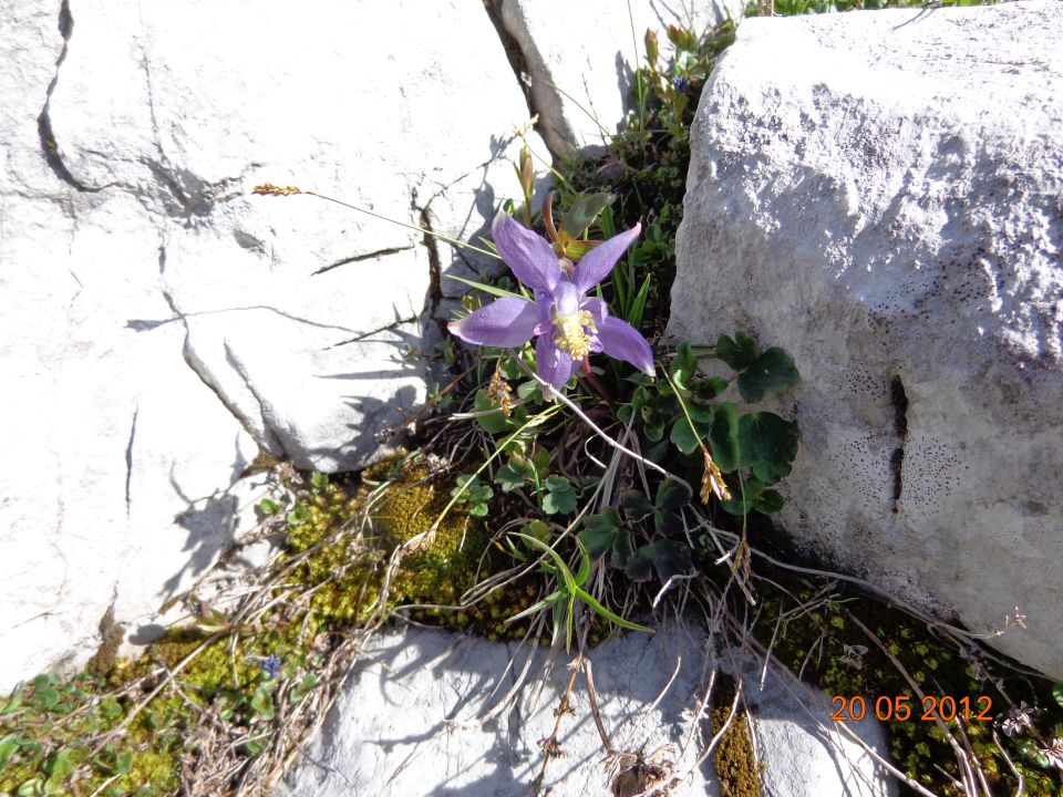 Kosmati vrh in Gladki vrh 20.05.2012 - foto povečava