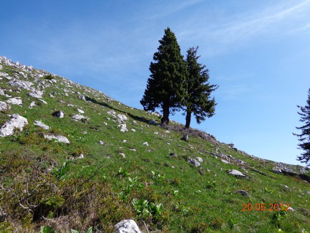 Kosmati vrh in Gladki vrh 20.05.2012 - foto