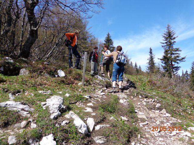 Kosmati vrh in Gladki vrh 20.05.2012 - foto