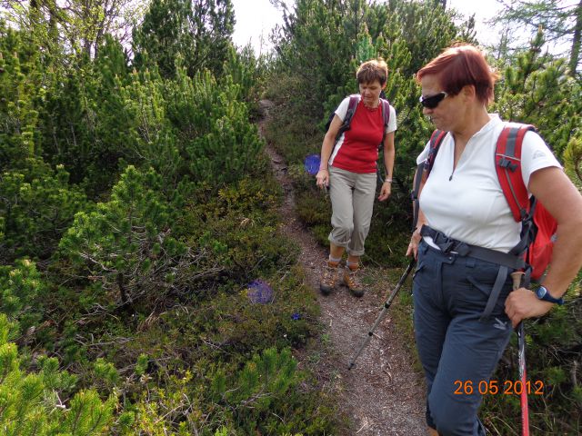 Ljubeljščica 26.05.2012 - foto