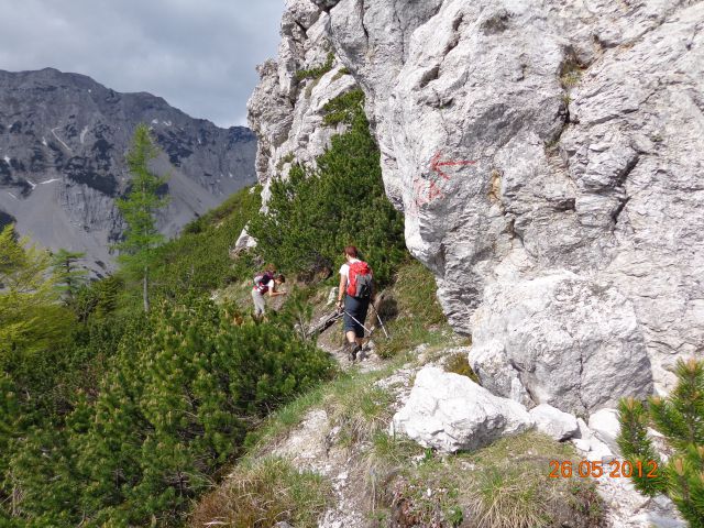 Ljubeljščica 26.05.2012 - foto