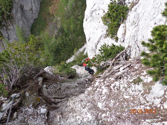 Ljubeljščica 26.05.2012 - foto