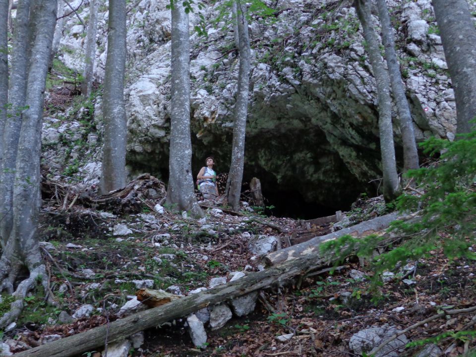 Grintovec, JV greben 16.06.2012 - foto povečava