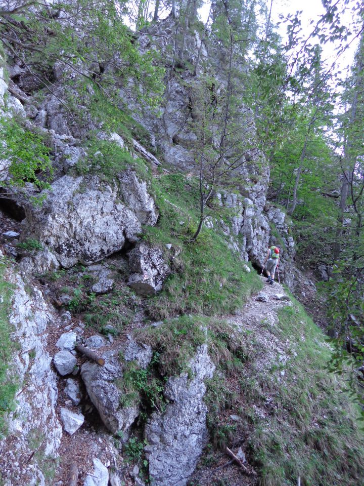 Grintovec, JV greben 16.06.2012 - foto povečava