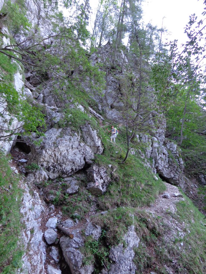 Grintovec, JV greben 16.06.2012 - foto povečava