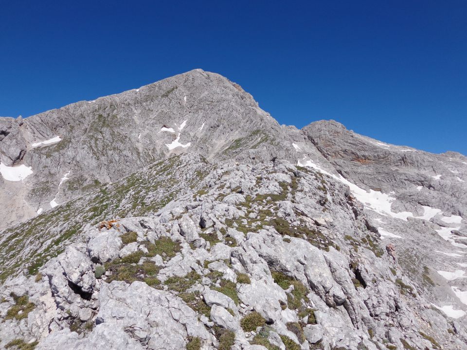 Grintovec, JV greben 16.06.2012 - foto povečava