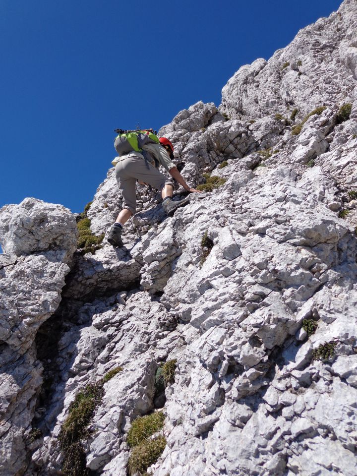 Grintovec, JV greben 16.06.2012 - foto povečava