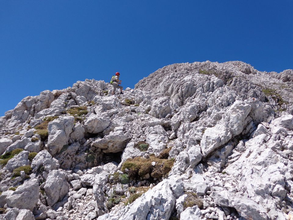 Grintovec, JV greben 16.06.2012 - foto povečava