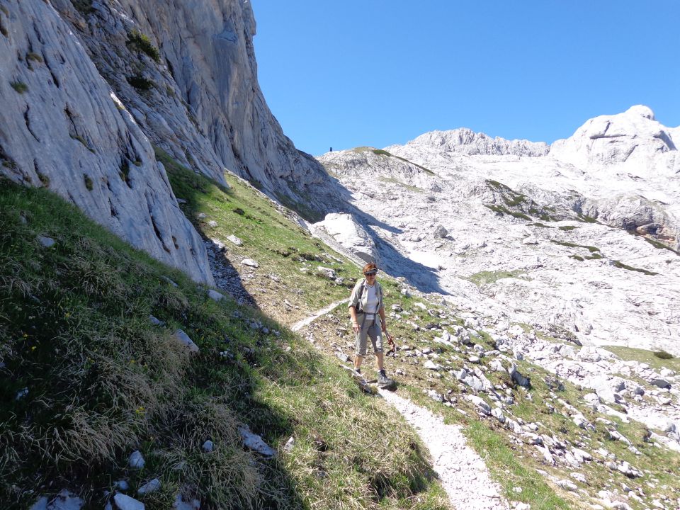 Grintovec, JV greben 16.06.2012 - foto povečava