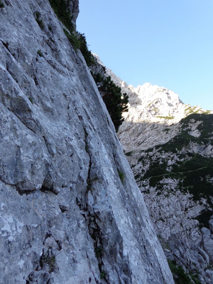 Ledine-Koroška rinka 30.06.2012 - foto povečava