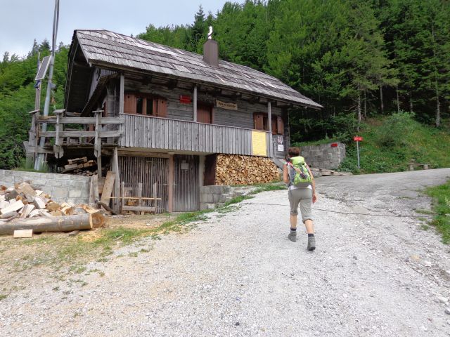 Košutica, Veliki vrh 06.07.2012 - foto