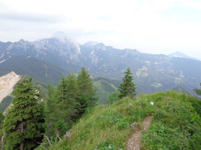 Košutica, Veliki vrh 06.07.2012 - foto