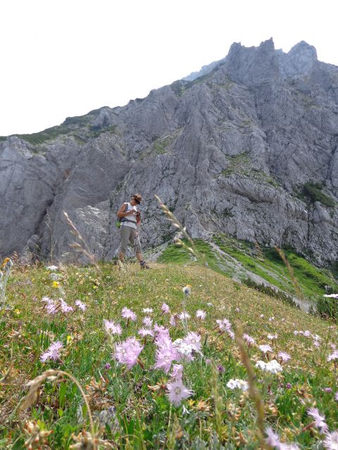 Košutica, Veliki vrh 06.07.2012 - foto