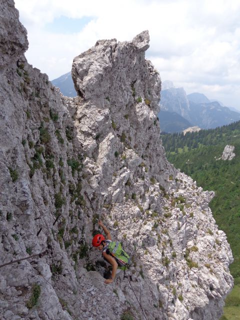 Košutica, Veliki vrh 06.07.2012 - foto