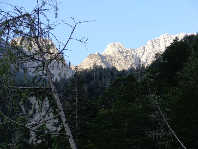 Bavški Grintavec 28.07.2012 - foto