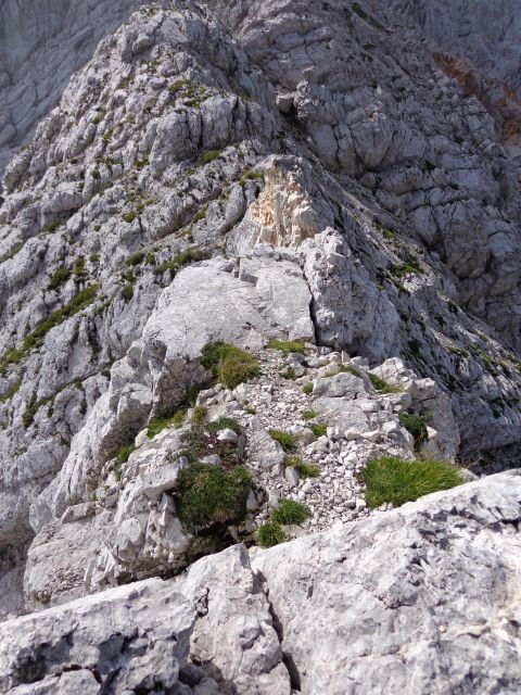 Bavški Grintavec 28.07.2012 - foto