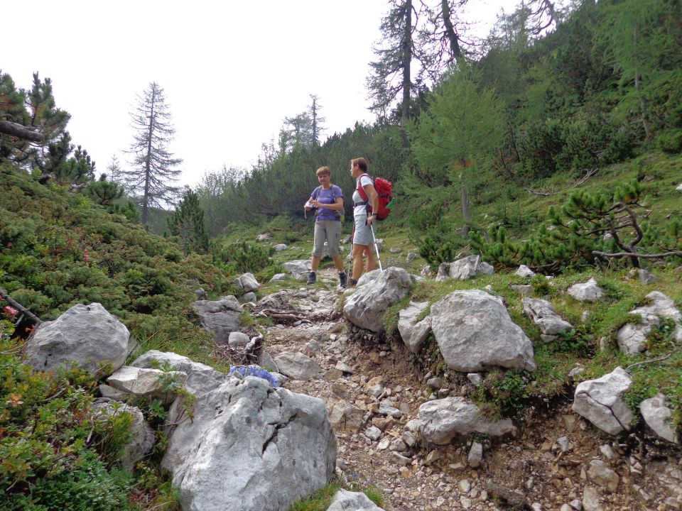 Veliki vrh, Molička peč 04.08.2012 - foto povečava