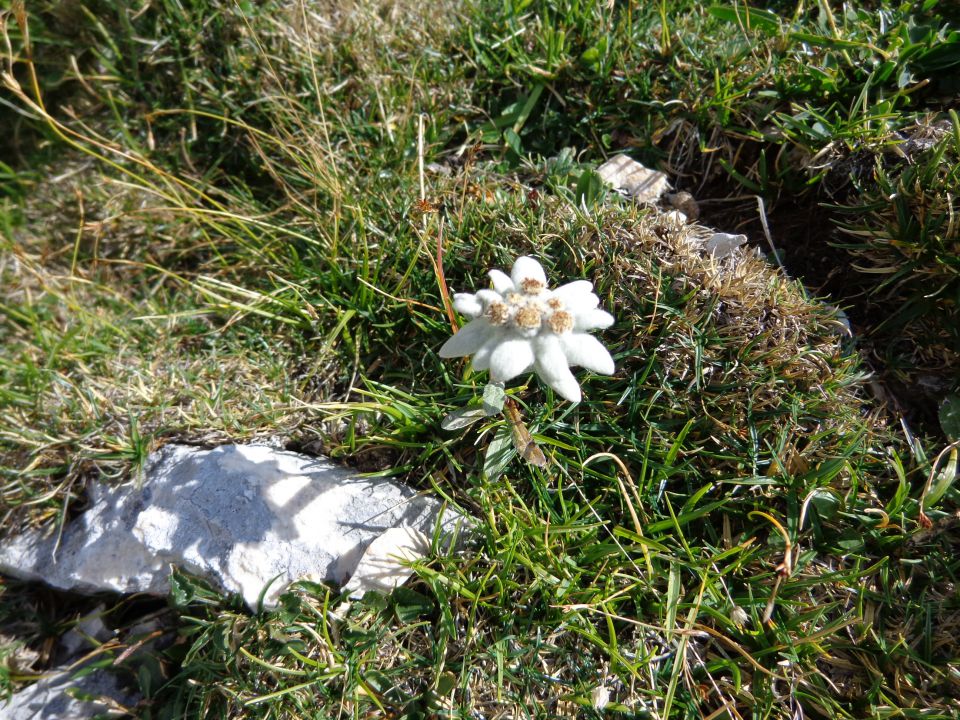 Mišelj vrh - Mišelj konec 29.08.2012 - foto povečava