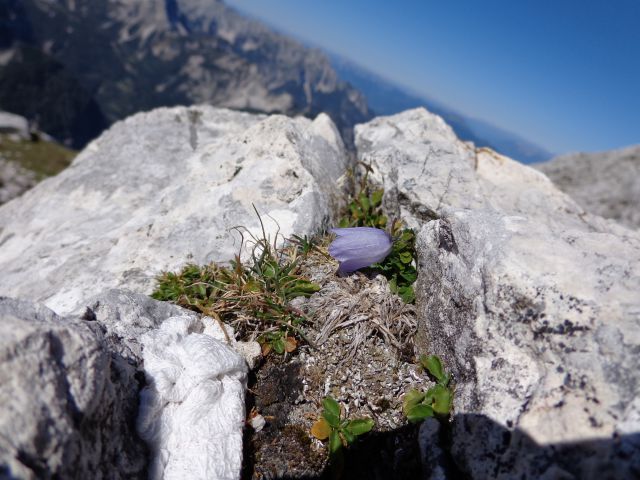 Špik 08.09.2012 - foto