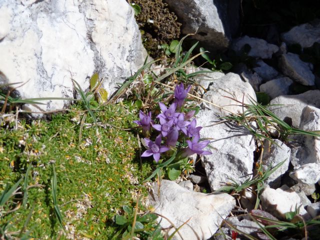 Špik 08.09.2012 - foto