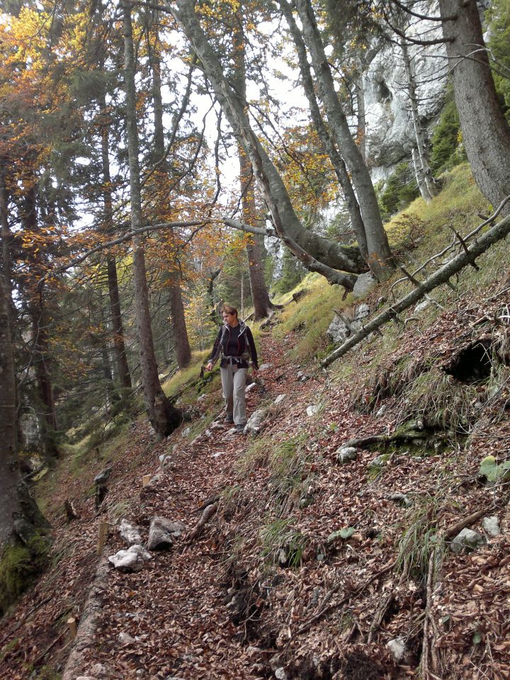 Bašeljski vrh 14.10.2012 - foto povečava