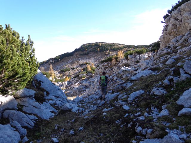V. Pršivec, Teme 19.10.2012 - foto