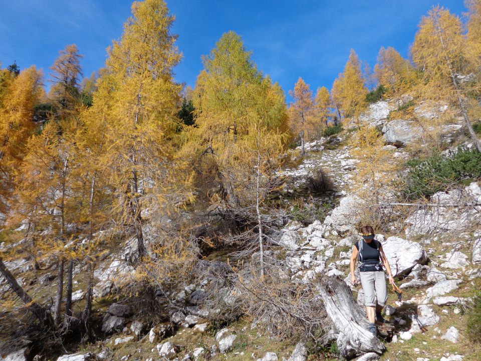 V. Pršivec, Teme 19.10.2012 - foto povečava