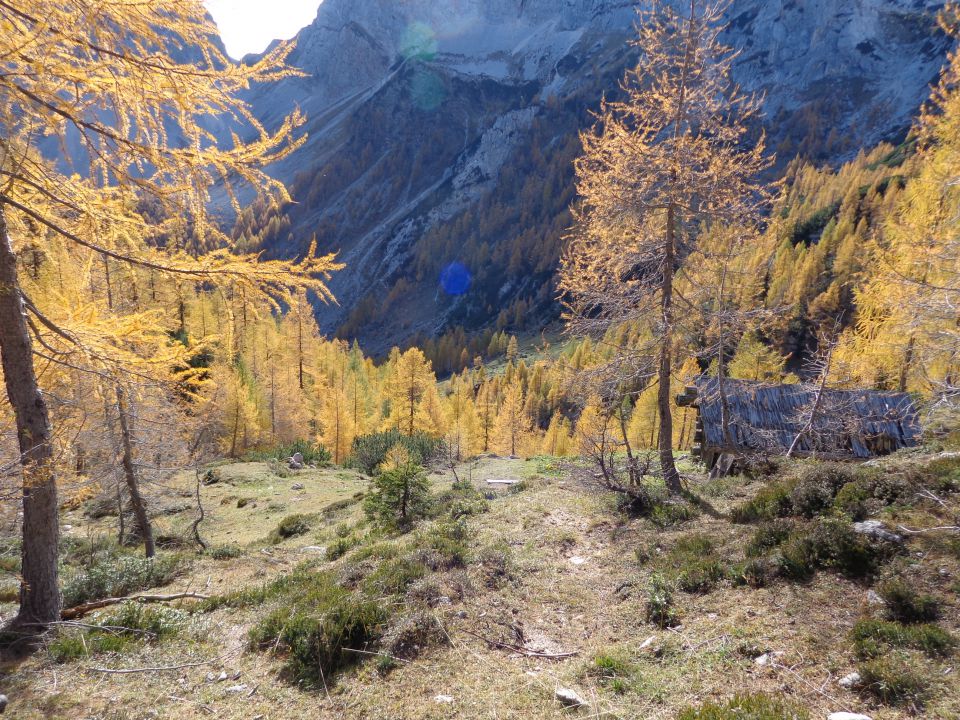 V. Pršivec, Teme 19.10.2012 - foto povečava