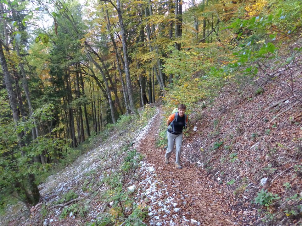 Turska gora 21.10.2012 - foto povečava