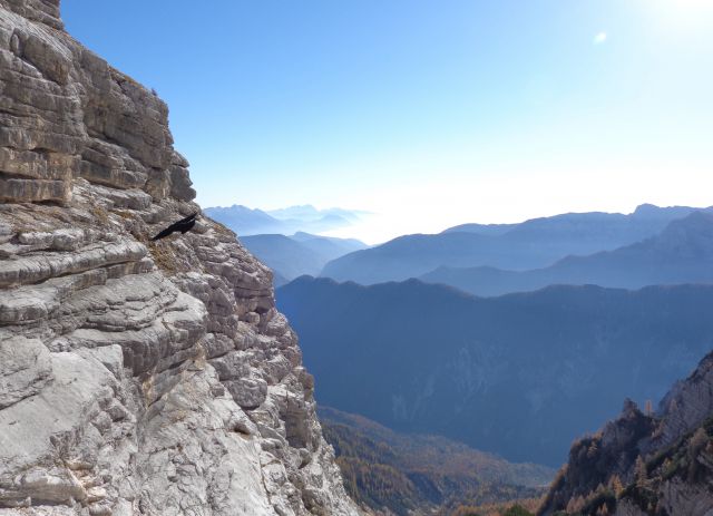 Nad dolino Vrat. Zadaj se lepo vidi dolina Kot in Krma z Debelo pečjo.