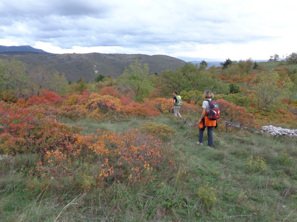 Kraški rob 03.11.2012 - foto povečava