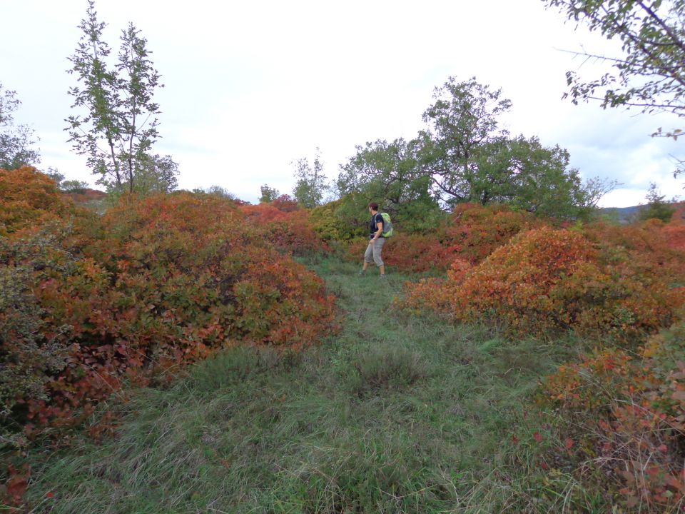 Kraški rob 03.11.2012 - foto povečava