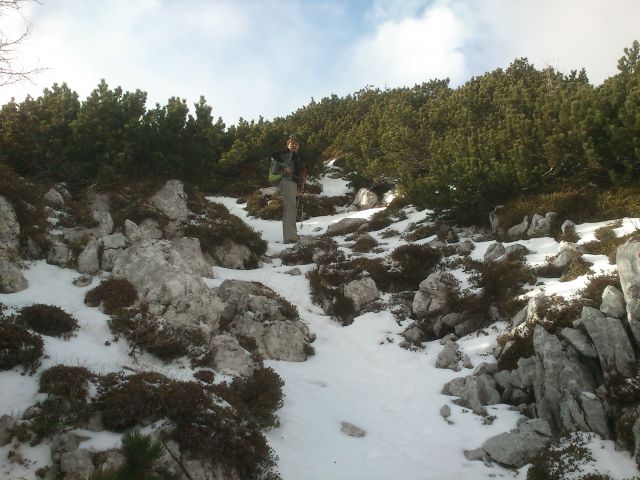 Brda, Lipanski v., Mrežce 10.11.2012 - foto