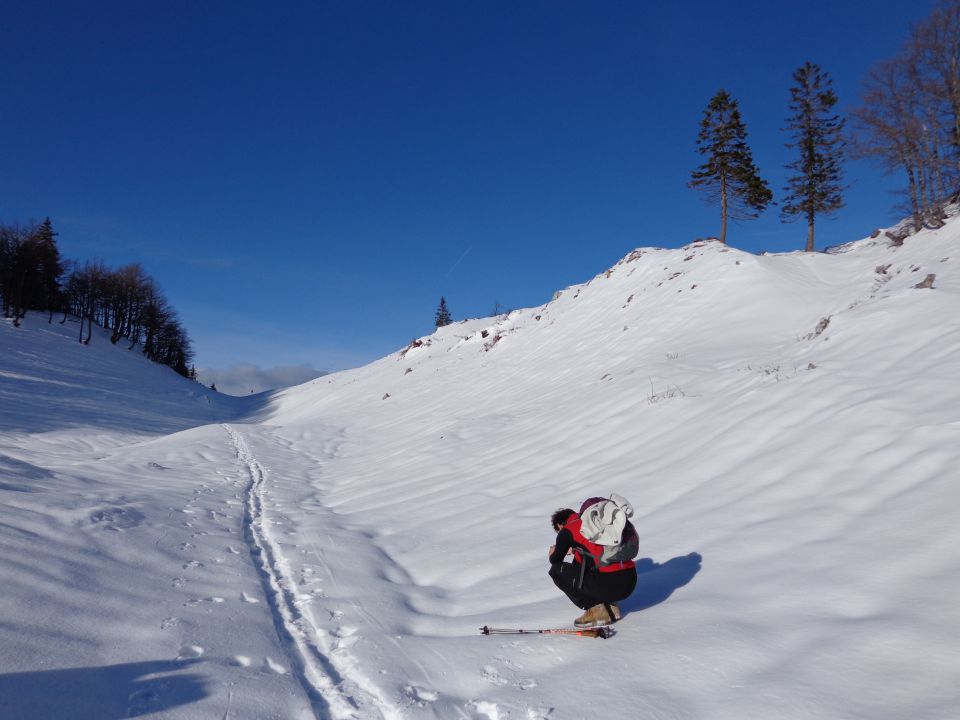 Ratitovec 22.12.2012 - foto povečava