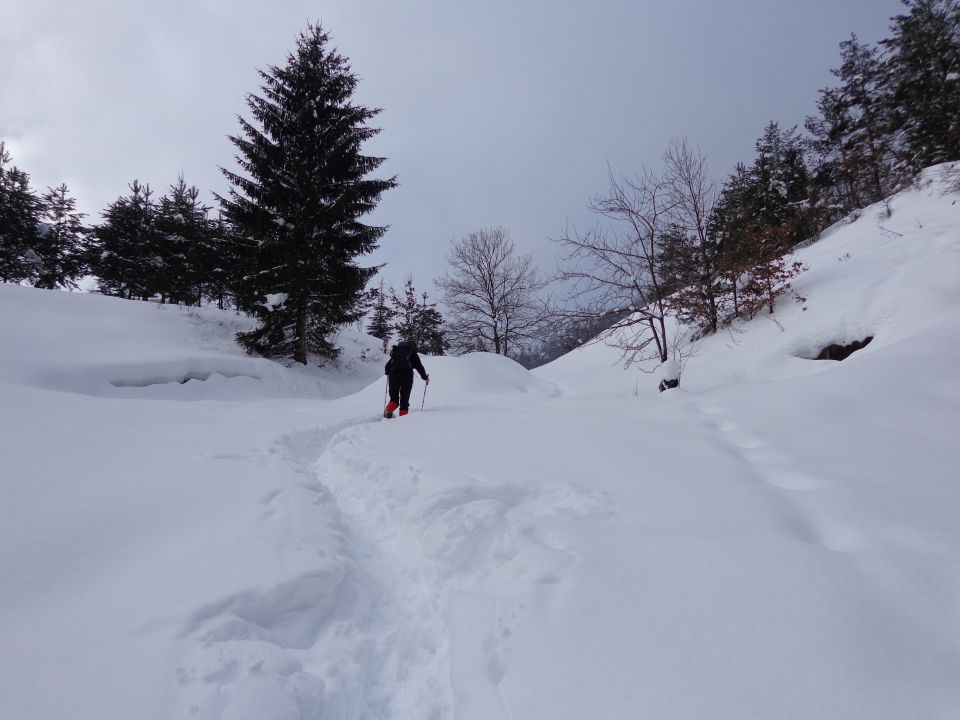 P. Grmada - po drugi poti 25.02.2013 - foto povečava