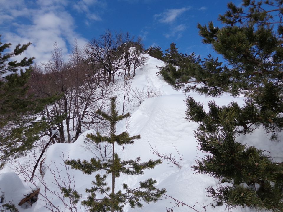 P. Grmada - po drugi poti 25.02.2013 - foto povečava