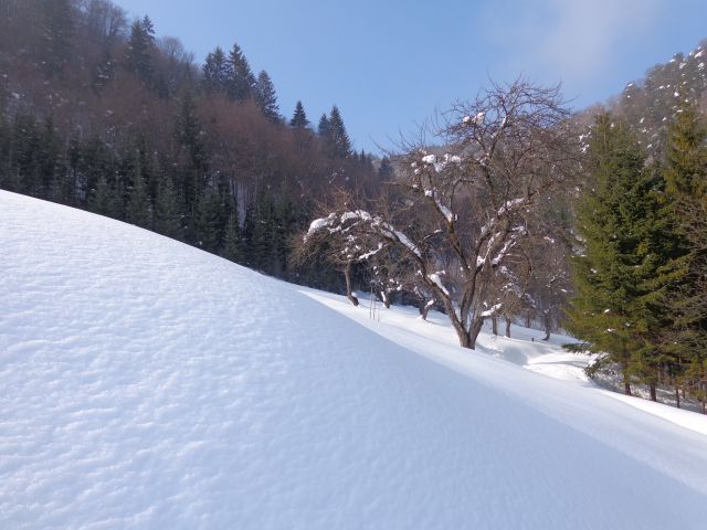 P. Grmada - po drugi poti 25.02.2013 - foto