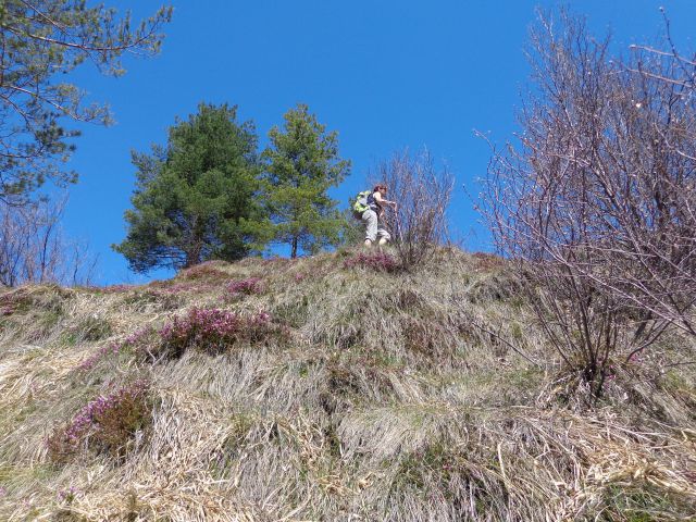 Korošaški slapovi, Kamniški vrh 24.04.2013 - foto