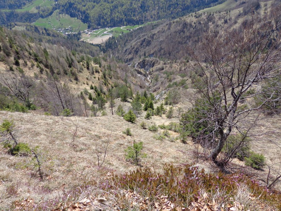 Korošaški slapovi, Kamniški vrh 24.04.2013 - foto povečava