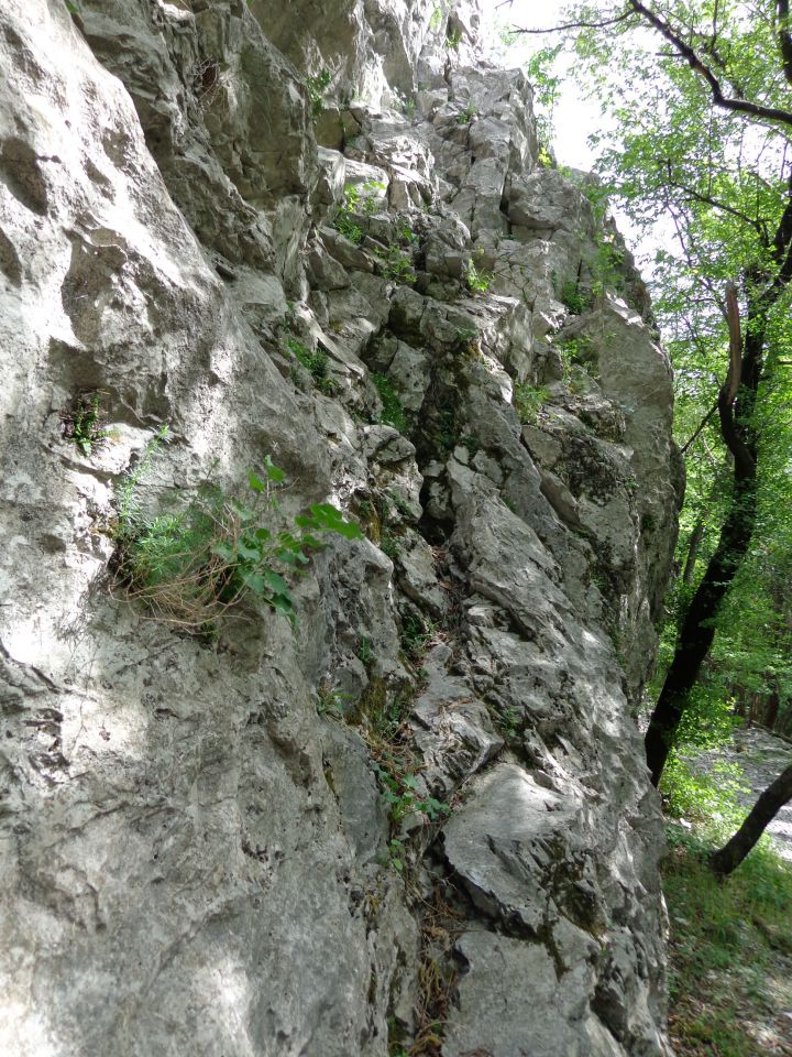 Glinščica - Comicijev greben 01.05.2013 - foto povečava