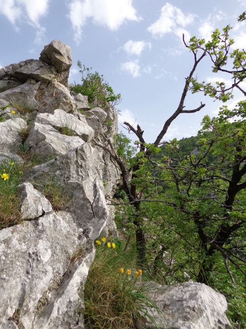 Glinščica - Comicijev greben 01.05.2013 - foto