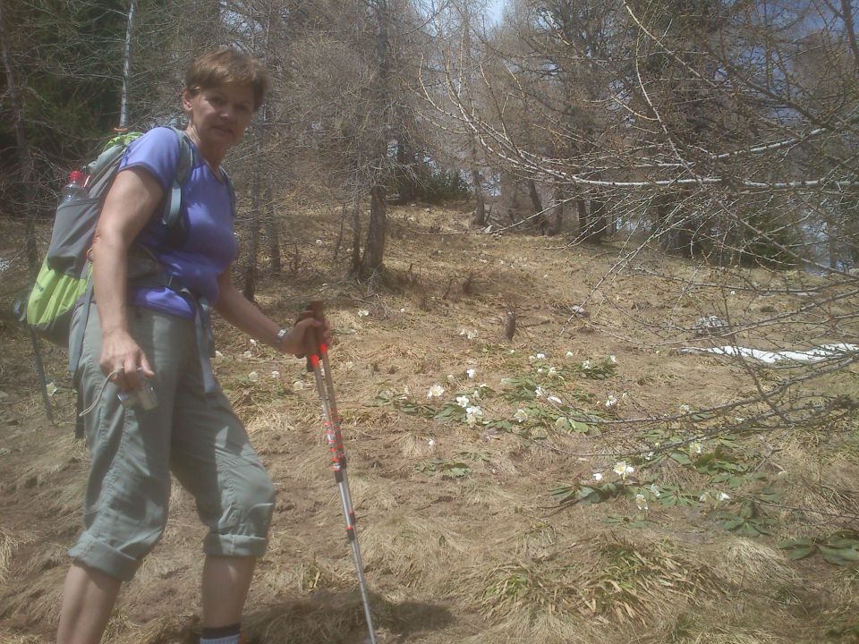 Goli vrh 04.05.2013 - foto povečava