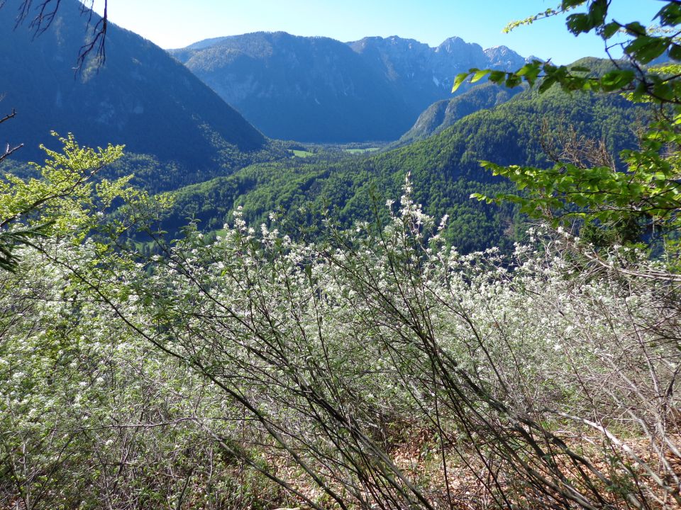 Vrtaški vrh 14.05.2013 - foto povečava