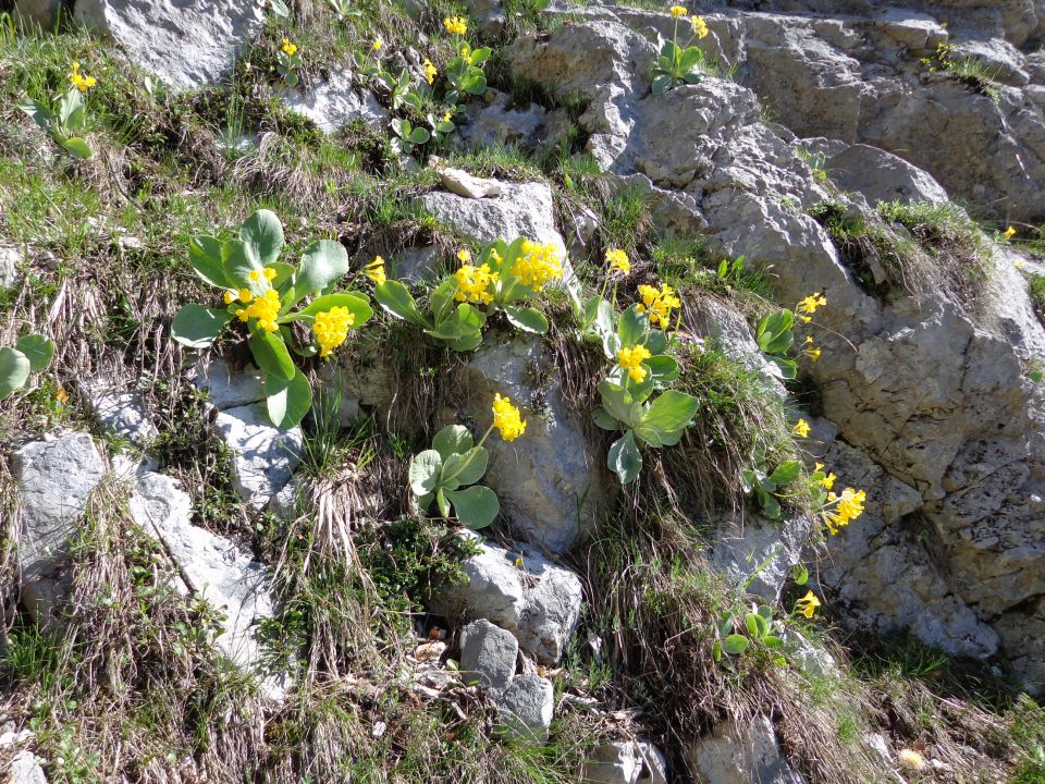 Vrtaški vrh 14.05.2013 - foto povečava