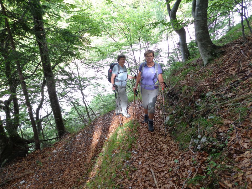 Veliki Črlovec - Sleme 14.06.2013 - foto povečava